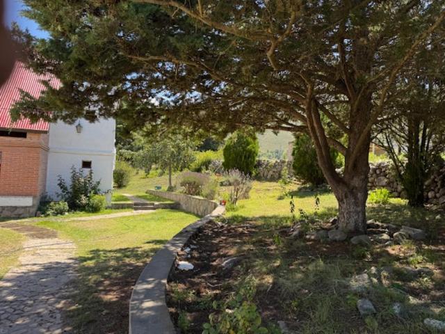 Holiday home Flor De Lis